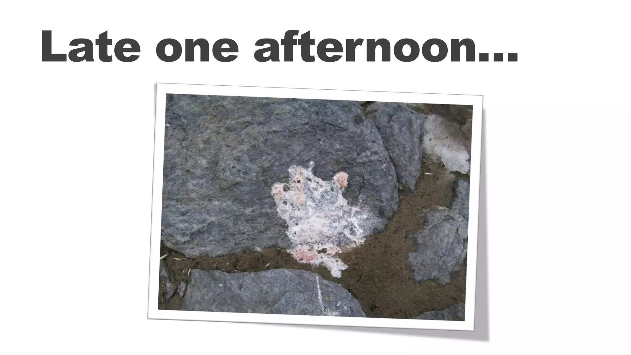 Late one afternoon…