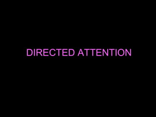 DIRECTED ATTENTION   