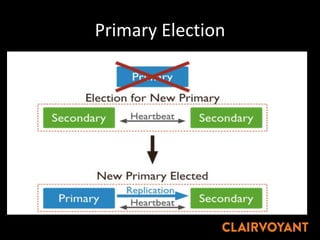 Primary Election
 