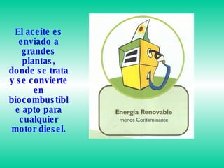 El aceite es enviado a grandes plantas, donde se trata y se convierte en biocombustible apto para cualquier motor diesel.