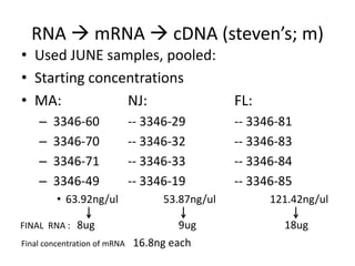 RNA  mRNA  cDNA (steven’s; m)
• Used JUNE samples, pooled:
• Starting concentrations
• MA:           NJ:                              FL:
    –   3346-60               -- 3346-29         -- 3346-81
    –   3346-70               -- 3346-32         -- 3346-83
    –   3346-71               -- 3346-33         -- 3346-84
    –   3346-49               -- 3346-19         -- 3346-85
         • 63.92ng/ul               53.87ng/ul         121.42ng/ul

FINAL RNA : 8ug                       9ug                18ug
Final concentration of mRNA   16.8ng each