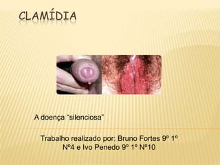 CLAMÍDIA




  A doença “silenciosa”

   Trabalho realizado por: Bruno Fortes 9º 1º
         Nº4 e Ivo Penedo 9º 1º Nº10
 