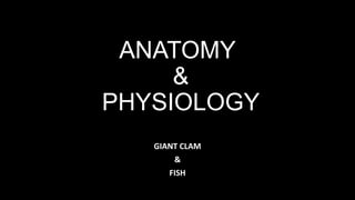 ANATOMY
&
PHYSIOLOGY
GIANT CLAM
&
FISH
 