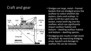 Craft and gear • Dredges are large, metal – framed
baskets that are dredged across the
seafloor to collect shellfish like
oysters, clams and scallops. In
order to lift the catch into the
basket, metal teeth dig into the
seafloor, which can significantly
impact seafloor habitat and
bottom – dwelling seafloor habitat
and bottom – dwelling species.
• Dredgging also results in high levels
of bycatch. By restricting dredging
areas, bycatch and damage to
seafloor life can be reduced.
 