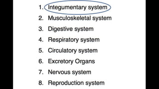 Anatomy & Physiology - Giant Clam & fish
