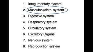 Anatomy & Physiology - Giant Clam & fish