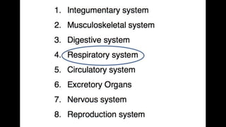 Anatomy & Physiology - Giant Clam & fish