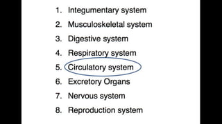 Anatomy & Physiology - Giant Clam & fish