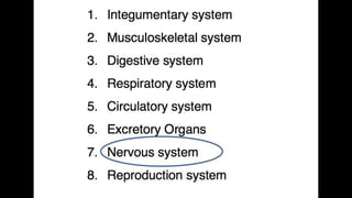 Anatomy & Physiology - Giant Clam & fish