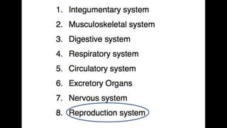 Anatomy & Physiology - Giant Clam & fish