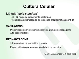 Cultura Celular   Método “ gold standard ” 48 - 72 horas de crescimento bacteriano Visualização microscópica de inclusões citoplasmáticas por   IFD VANTAGENS: Preservação do microrganismo (antibiograma e genotipagem) Alta especificidade DESVANTAGENS: Infra-estrutura de laboratório  -  custo Exige  cuidados para manter viabilidade da amostra   *  J. Clin Microbiol 2001, 8: 2928-2932 