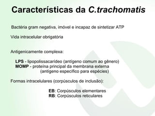 Características da  C.trachomatis Bactéria gram negativa, imóvel e incapaz de sintetizar ATP Vida intracelular obrigatória Antigenicamente complexa: LPS  - lipopolissacarídeo (antígeno comum ao gênero)  MOMP  - proteína principal da membrana   externa (antígeno específico para espécies)  Formas intracelulares (corpúsculos de inclusão): EB : Corpúsculos elementares RB : Corpúsculos reticulares 