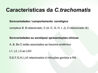 Características da  C.trachomatis Sorovariedades / comportamento  sorológico   complexo B, B-relacionado, C (A, C, G, H, I, J), C-relacionado (K) Sorovariedades ou sorotipos/ apresentações clínicas A, B, Ba C estão associados ao tracoma endêmico  L1, L2, L3 ao LGV D,E,F,G,H,I,J,K relacionados à infecções genitais e RN 