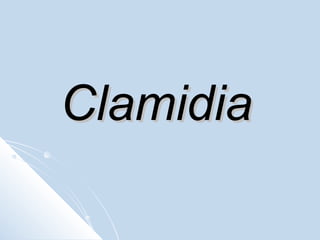 Clamidia

 
