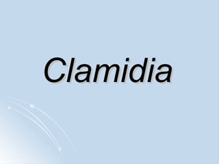 Clamidia 