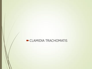 CLAMIDIA TRACHOMATIS
 