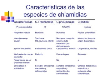 Caracteristicas de las
especies de chlamidias
Caracteristicas C.Trachomatis C.pneumoniae C.psittaci
Nº serovariedades 18 1(TWAR) muchas
Hospedero natural Humanos Humanos Pajaros y mamiferos
Infecciones que
causan
Trachoma,
ITS,neumonia infantil
Neumonia,bronquitis,
enfermedada
coronarias por
ateroesclerosis
Neumonia, fiebre de
origen desconocido
Tipo de inclusiones Citoplasmica unica Citoplasmica, muchas Citoplasmica ,muchas
Morfologia del cuerpo
elemental
Redondo Forma de pera Redondo
Presencia de ag en
proteinas de mem
Si No si
Sensibilidad a
antibioticos
Sensible tetraciclinas
macrolidos y
sulfonamidas
Sensible tetraciclinas
macrolidos y
resistente a las
sulfonamidas
Sensible tetraciclinas
macrolidos y
resistente a las
sulfonamidas
 