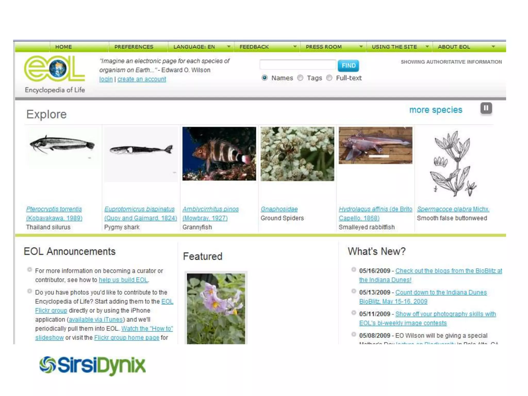 Self-Service Web Portal