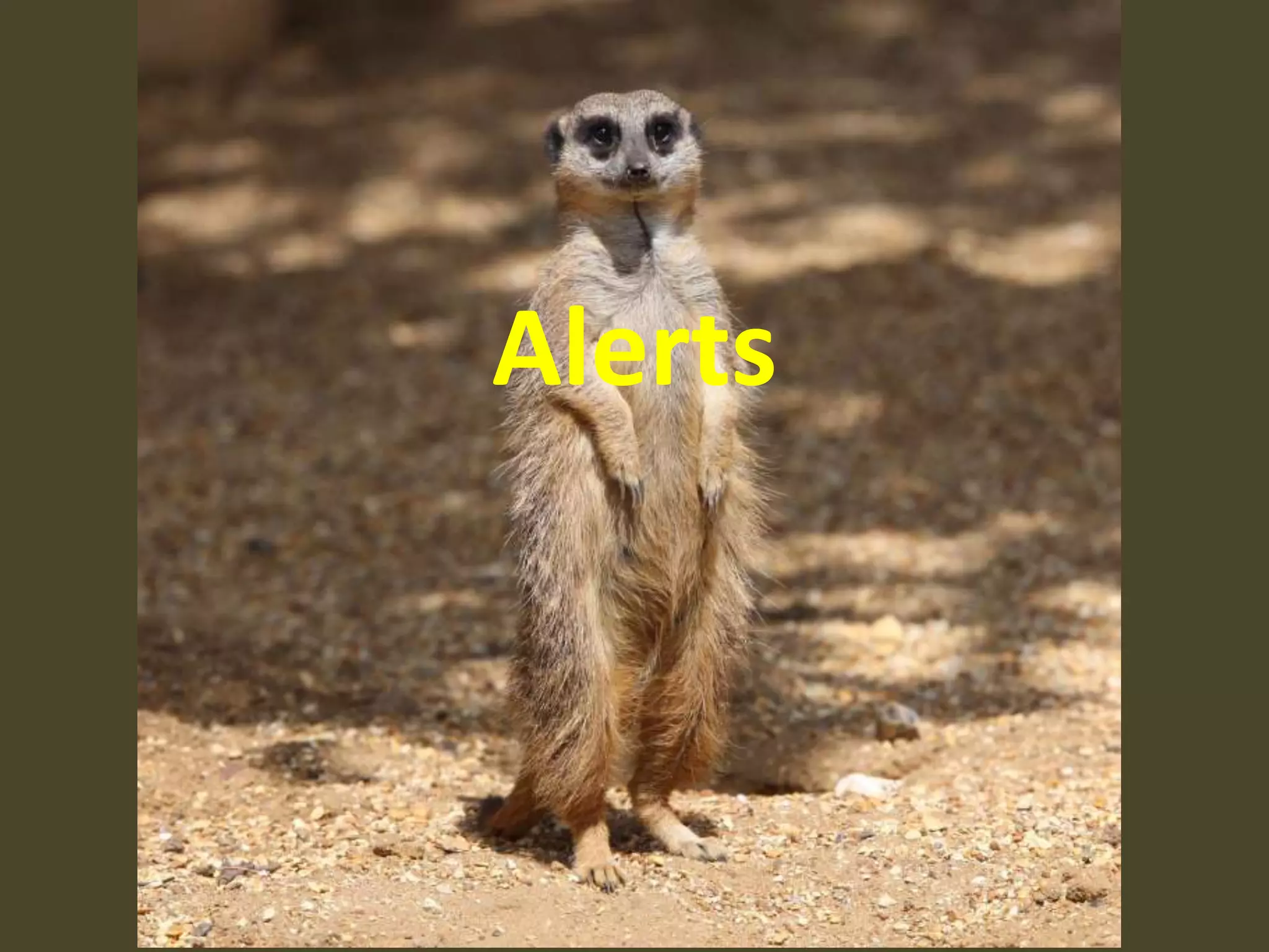 Can we at least agree that they don’t want whiz bang widgets, gadgets, shiny new tools or any other raw technology?Let’s address the human condition.