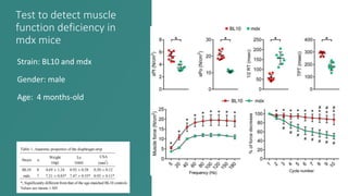 Test to detect muscle
function deficiency in
mdx mice
Strain: BL10 and mdx
Gender: male
Age: 4 months-old
Image caption
 