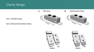 Clamp design
Set 1: (A) Rib Clamp
Set 2: (B) Central tendon Clamp
 