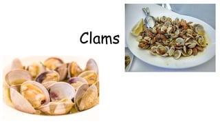 Clams
 