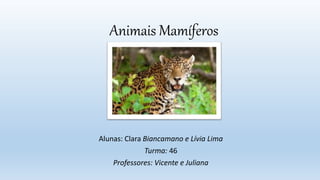 Animais Mamíferos
Alunas: Clara Biancamano e Lívia Lima
Turma: 46
Professores: Vicente e Juliana
 