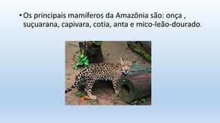•Os principais mamíferos da Amazônia são: onça ,
suçuarana, capivara, cotia, anta e mico-leão-dourado.
 