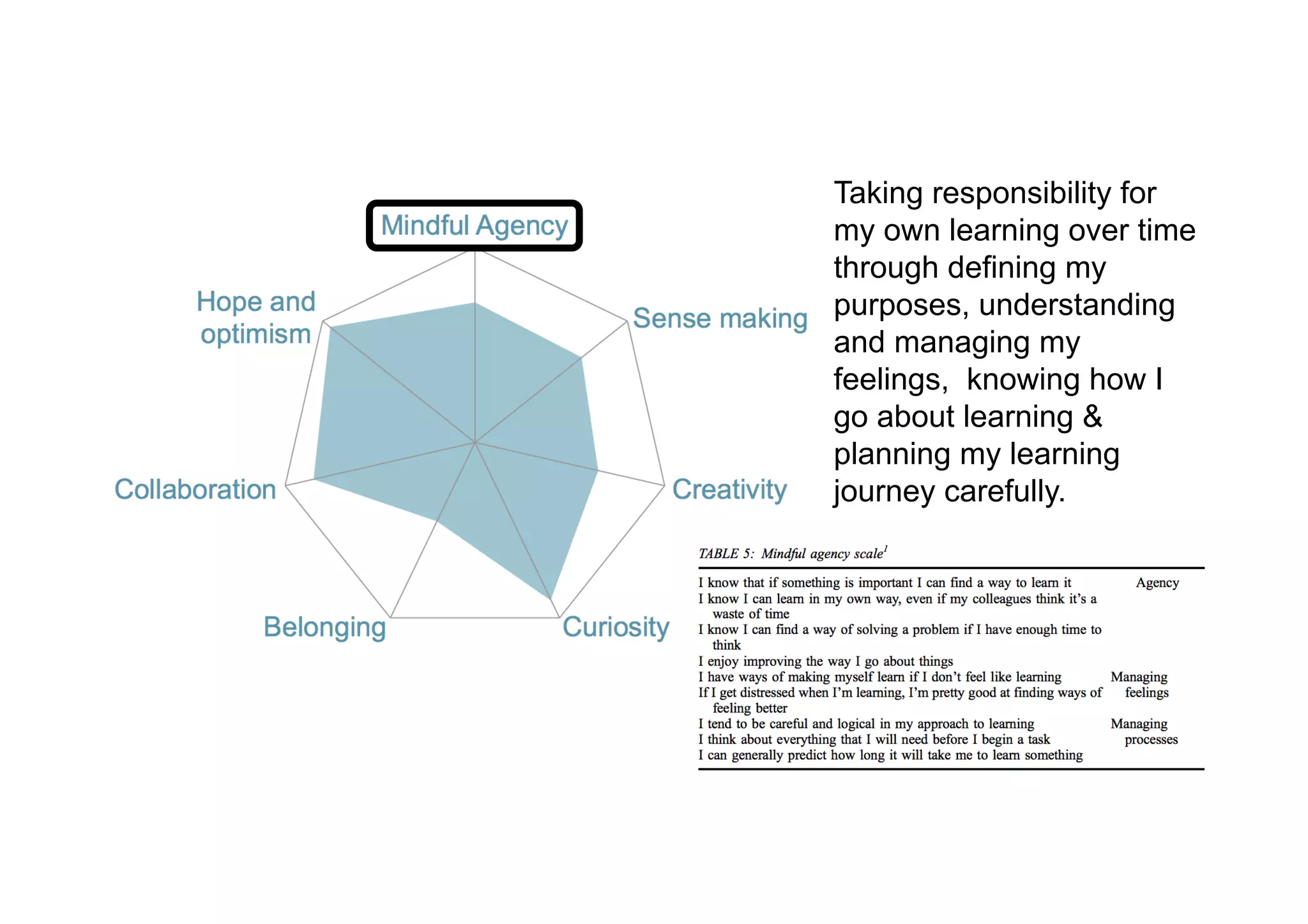 Taking responsibility for
my own learning over time
through defining my
purposes, understanding
and managing my
feelings, knowing how I
go about learning &
planning my learning
journey carefully.
 