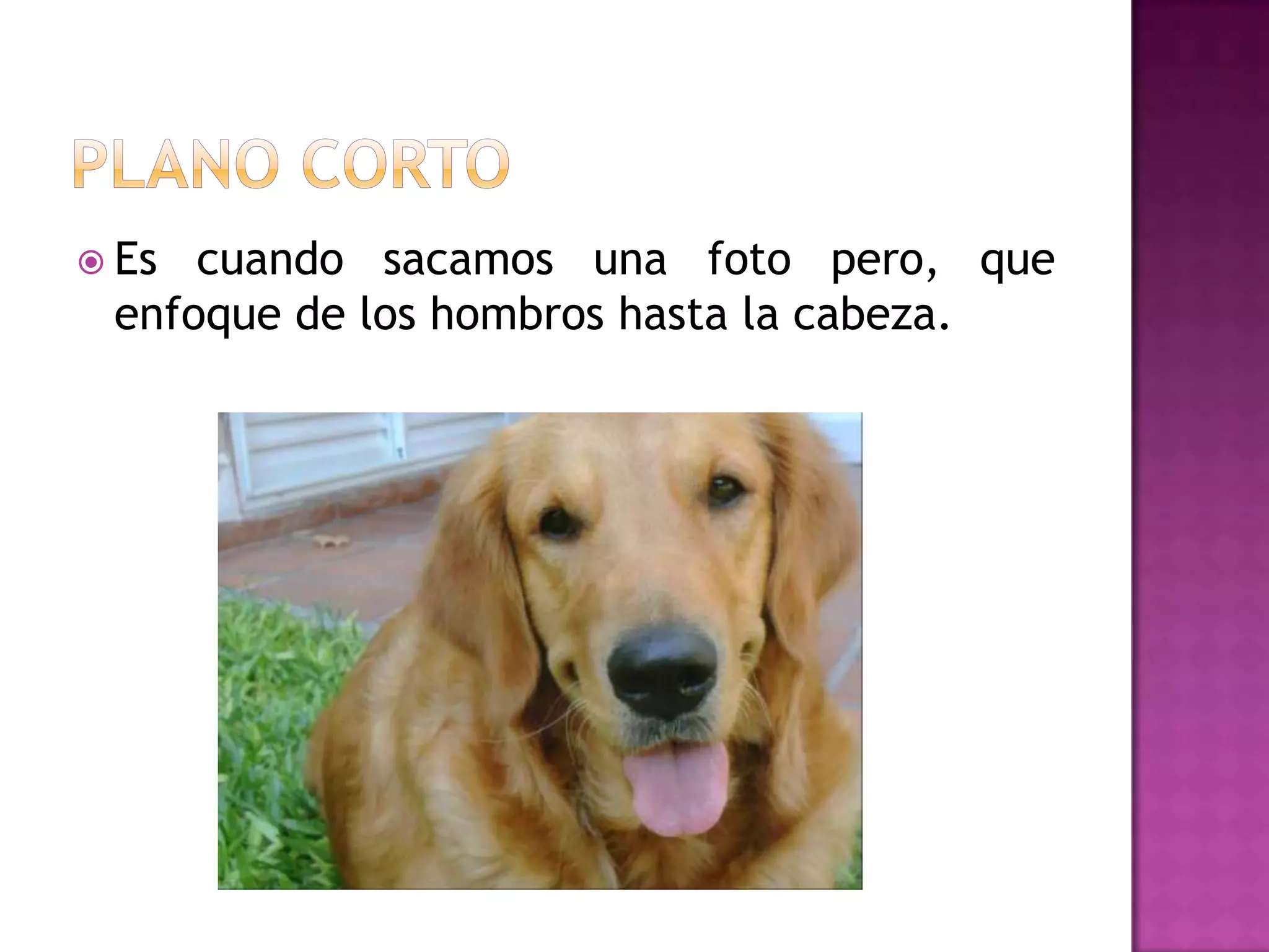  Es cuando sacamos una foto pero, que
enfoque de los hombros hasta la cabeza.
 