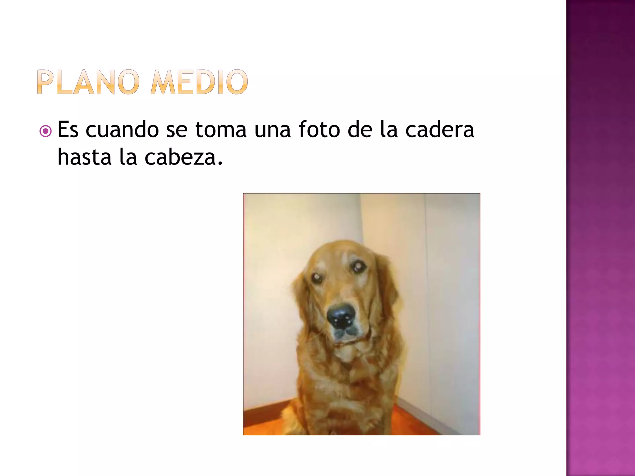  Es cuando se toma una foto de la cadera
hasta la cabeza.
 