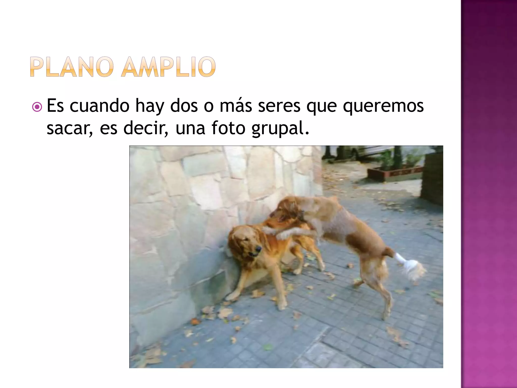  Es cuando hay dos o más seres que queremos
sacar, es decir, una foto grupal.
 