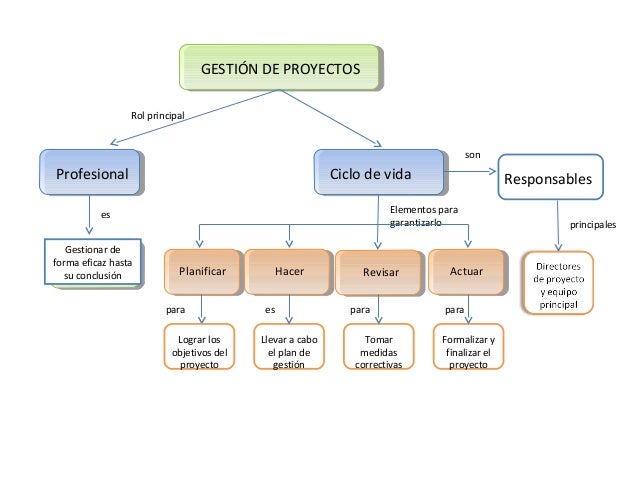 mapa conceptual gestion de proyectos