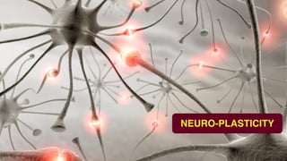 NEURO-PLASTICITY
SOURCE: ONLINE
 