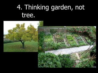 4. Thinking garden, not
  tree.
 