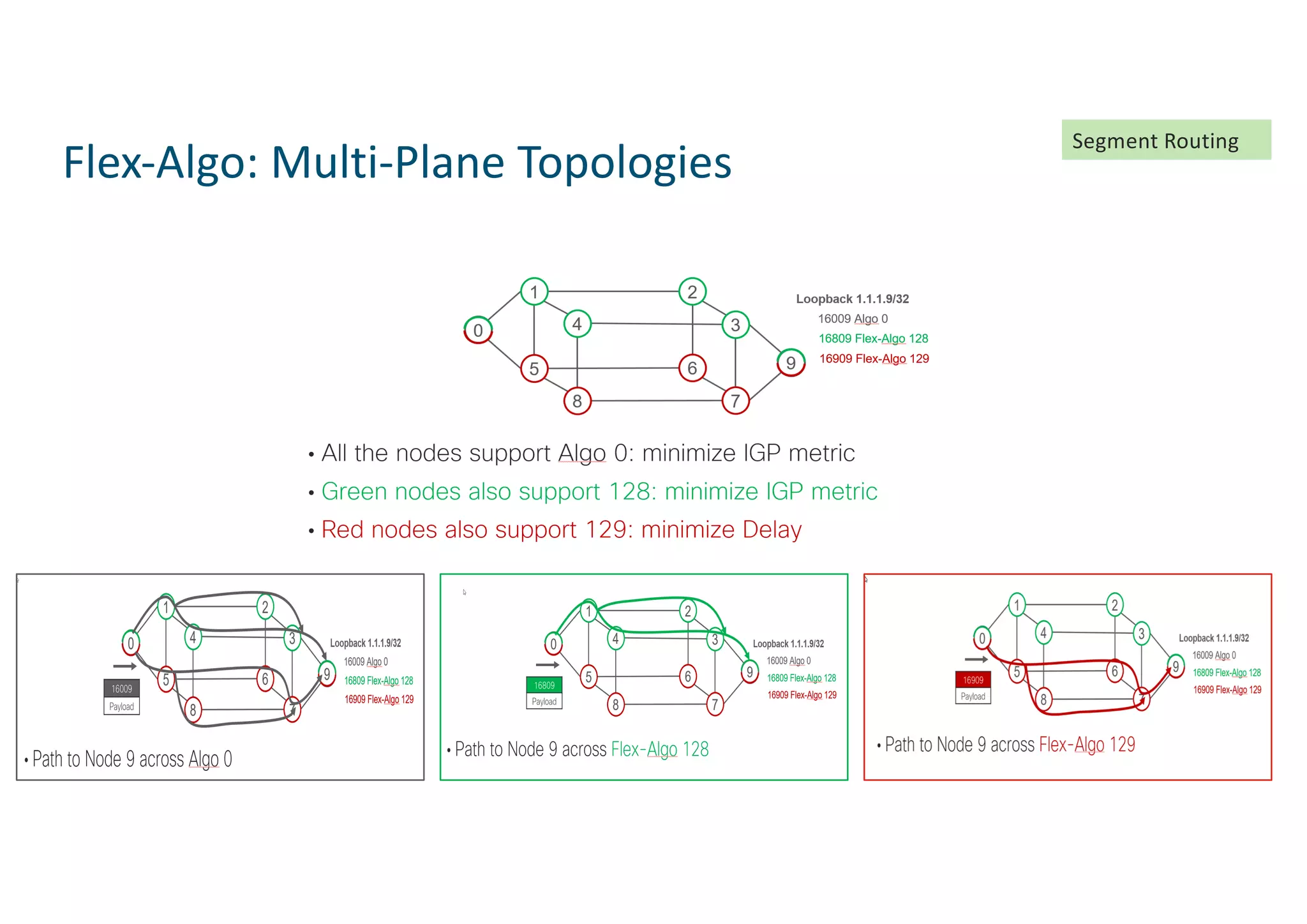 Flex-Algo: Multi-Plane Topologies
Segment Routing
 