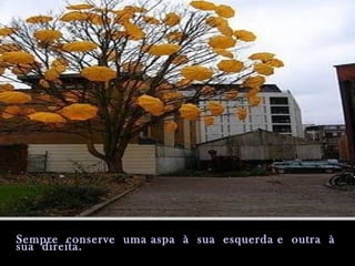 Sempre conserve uma aspa à sua esquerda e outra àSempre conserve uma aspa à sua esquerda e outra à
sua direita.sua direita.
 