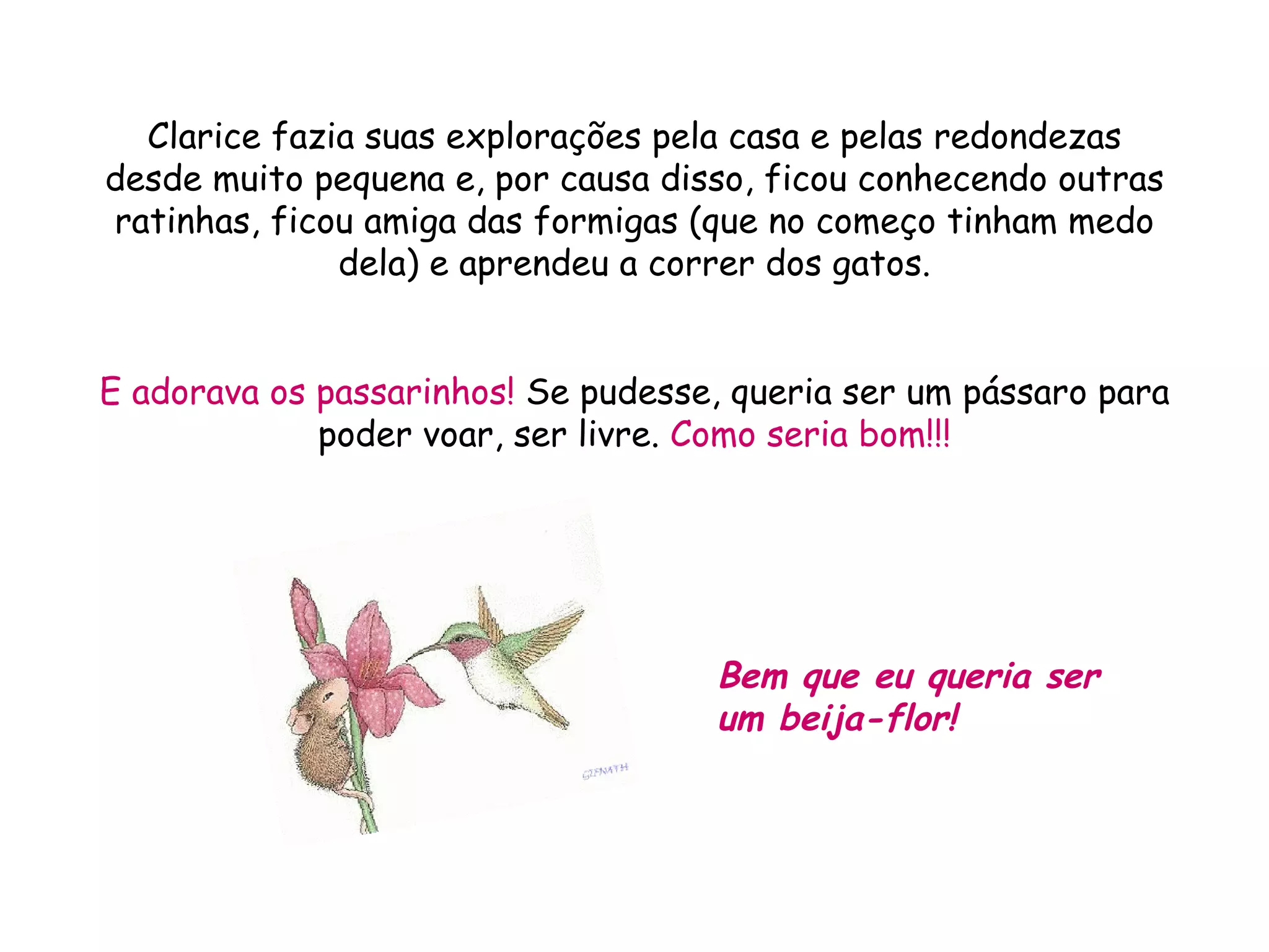Clarice fazia suas explorações pela casa e pelas redondezas desde muito pequena e, por causa disso, ficou conhecendo outras ratinhas, ficou amiga das formigas (que no começo tinham medo dela) e aprendeu a correr dos gatos. E adorava os passarinhos! Se pudesse, queria ser um pássaro para poder voar, ser livre. Como seria bom!!! Bem que eu queria ser um beija-flor!