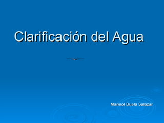 Clarificación del Agua Marisol Buela Salazar 