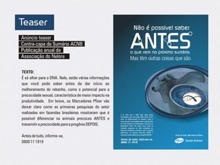 Teaser
Anúncio teaser
Contra-capa de Sumário ACNB
Publicação anual da
Associação do Nelore

TEXTO:
É só olhar para o DNA. Nele, estão várias informações
que você pode saber antes de dar início ao
melhoramento do rebanho, como o potencial para a
precocidade sexual, característica de maior impacto na
produtividade. Em breve, os Marcadores Pfizer vão
deixar claro como as primeiras pesquisas do setor
realizadas em fazendas brasileiras mostraram que é
possível diferenciar os animais precoces ANTES e
transmitir a precocidade para a progênie DEPOIS.

Antes de tudo, informe-se.
0800 11 1919
 