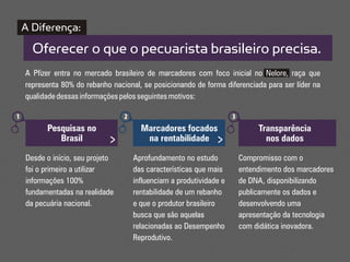 A Diferença:
      Oferecer o que o pecuarista brasileiro precisa.
    A Pfizer entra no mercado brasileiro de marcadores com foco inicial no Nelore, raça que
    representa 80% do rebanho nacional, se posicionando de forma diferenciada para ser líder na
    qualidade dessas informações pelos seguintes motivos:

1                                 2                                   3
          Pesquisas no                  Marcadores focados                     Transparência
             Brasil           >          na rentabilidade >                      nos dados

    Desde o início, seu projeto       Aprofundamento no estudo            Compromisso com o
    foi o primeiro a utilizar         das características que mais        entendimento dos marcadores
    informações 100%                  influenciam a produtividade e       de DNA, disponibilizando
    fundamentadas na realidade        rentabilidade de um rebanho         publicamente os dados e
    da pecuária nacional.             e que o produtor brasileiro         desenvolvendo uma
                                      busca que são aquelas               apresentação da tecnologia
                                      relacionadas ao Desempenho          com didática inovadora.
                                      Reprodutivo.
 