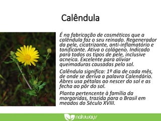 Calêndula
É na fabricação de cosméticos que a
calêndula faz o seu reinado. Regenerador
da pele, cicatrizante, anti-inflamatório e
tonificante. Ativa o colágeno. Indicado
para todos os tipos de pele, inclusive
acneica. Excelente para aliviar
queimaduras causadas pelo sol.
Calêndula significa: 1º dia de cada mês,
de onde se deriva a palavra Calendário.
Abres usa pétalas ao nescer do sol e as
fecha ao pôr do sol.
Planta pertencente à família da
margaridas, trazida para o Brasil em
meados do Século XVIII.
 