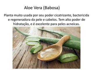 Aloe Vera (Babosa)
Planta muito usada por seu poder cicatrizante, bactericida
e regeneradora da pele e cabelos. Tem alto poder de
hidratação, e é excelente para peles acneicas.
 