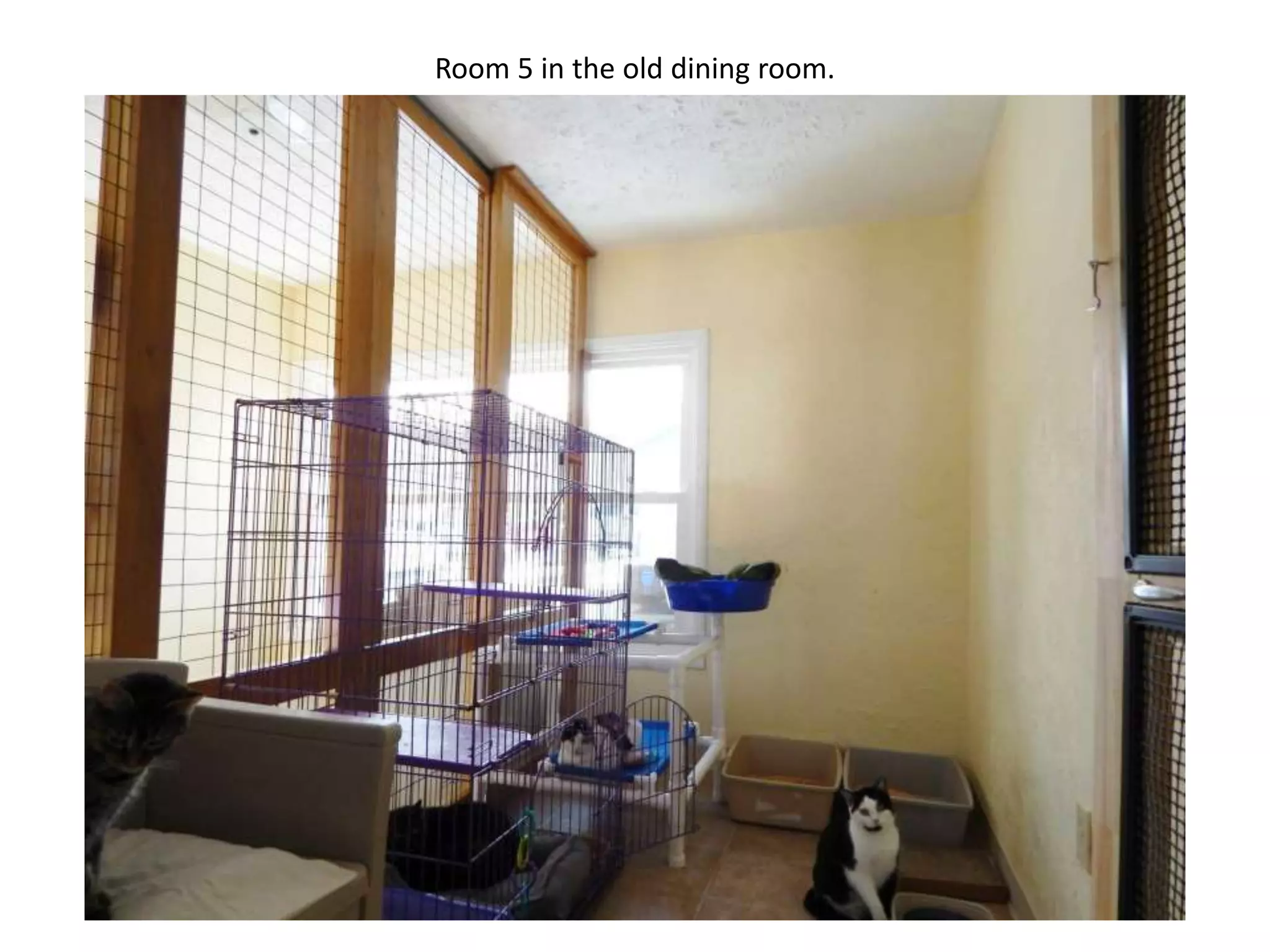 Room 5 in the old dining room.

 