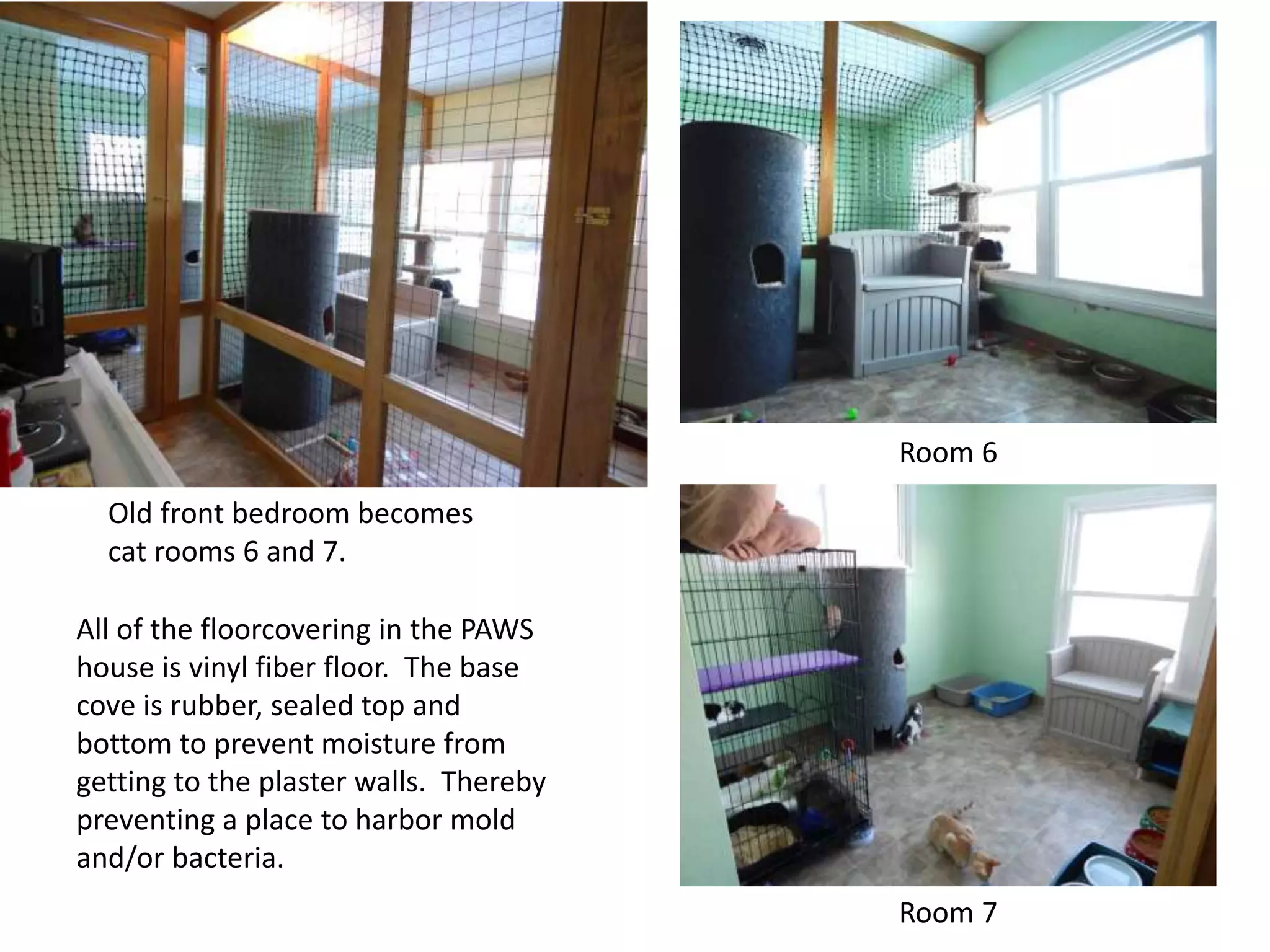 Room 6
Old front bedroom becomes
cat rooms 6 and 7.
All of the floorcovering in the PAWS
house is vinyl fiber floor. The base
cove is rubber, sealed top and
bottom to prevent moisture from
getting to the plaster walls. Thereby
preventing a place to harbor mold
and/or bacteria.
Room 7

 