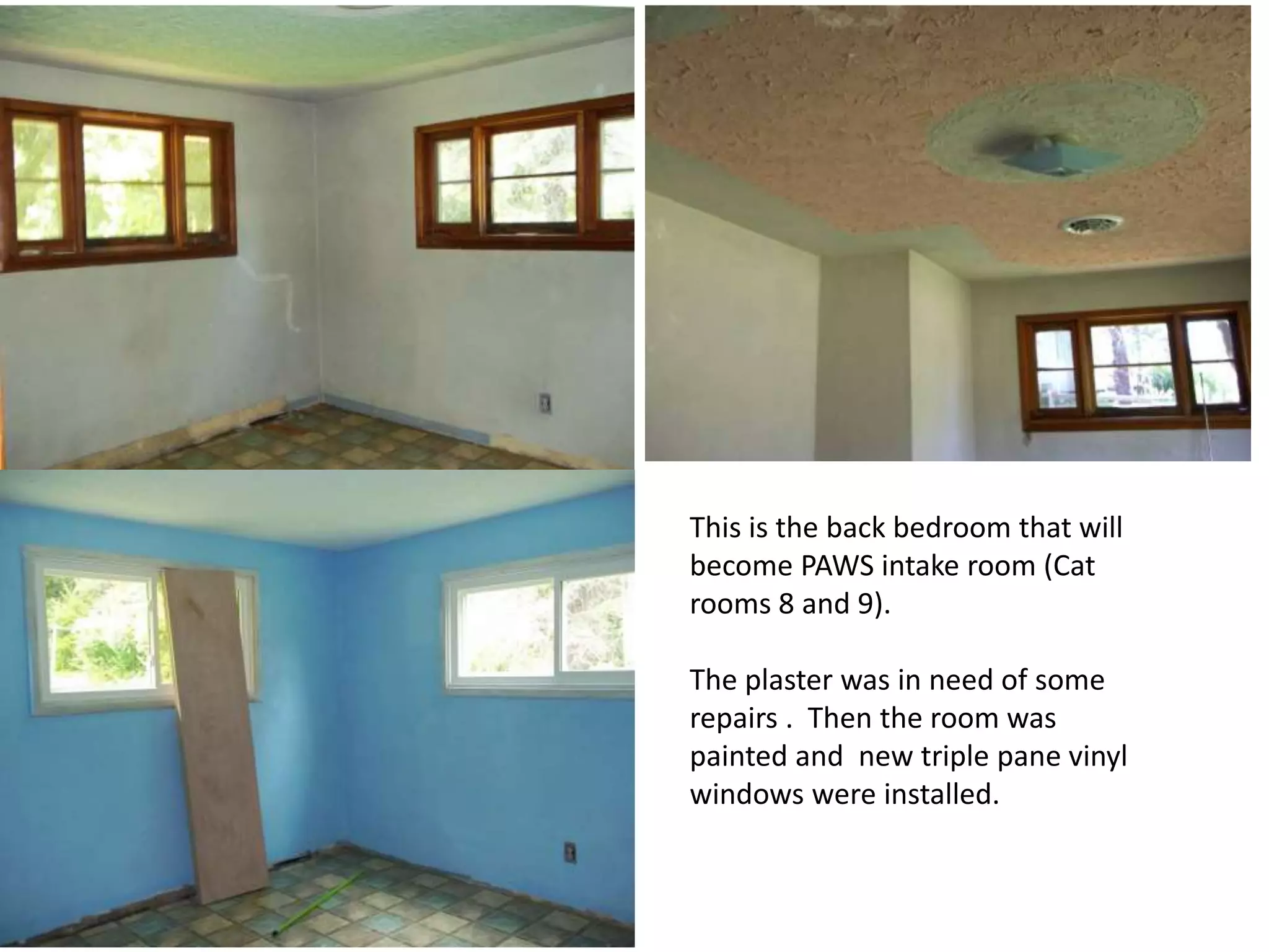 This is the back bedroom that will
become PAWS intake room (Cat
rooms 8 and 9).
The plaster was in need of some
repairs . Then the room was
painted and new triple pane vinyl
windows were installed.

 