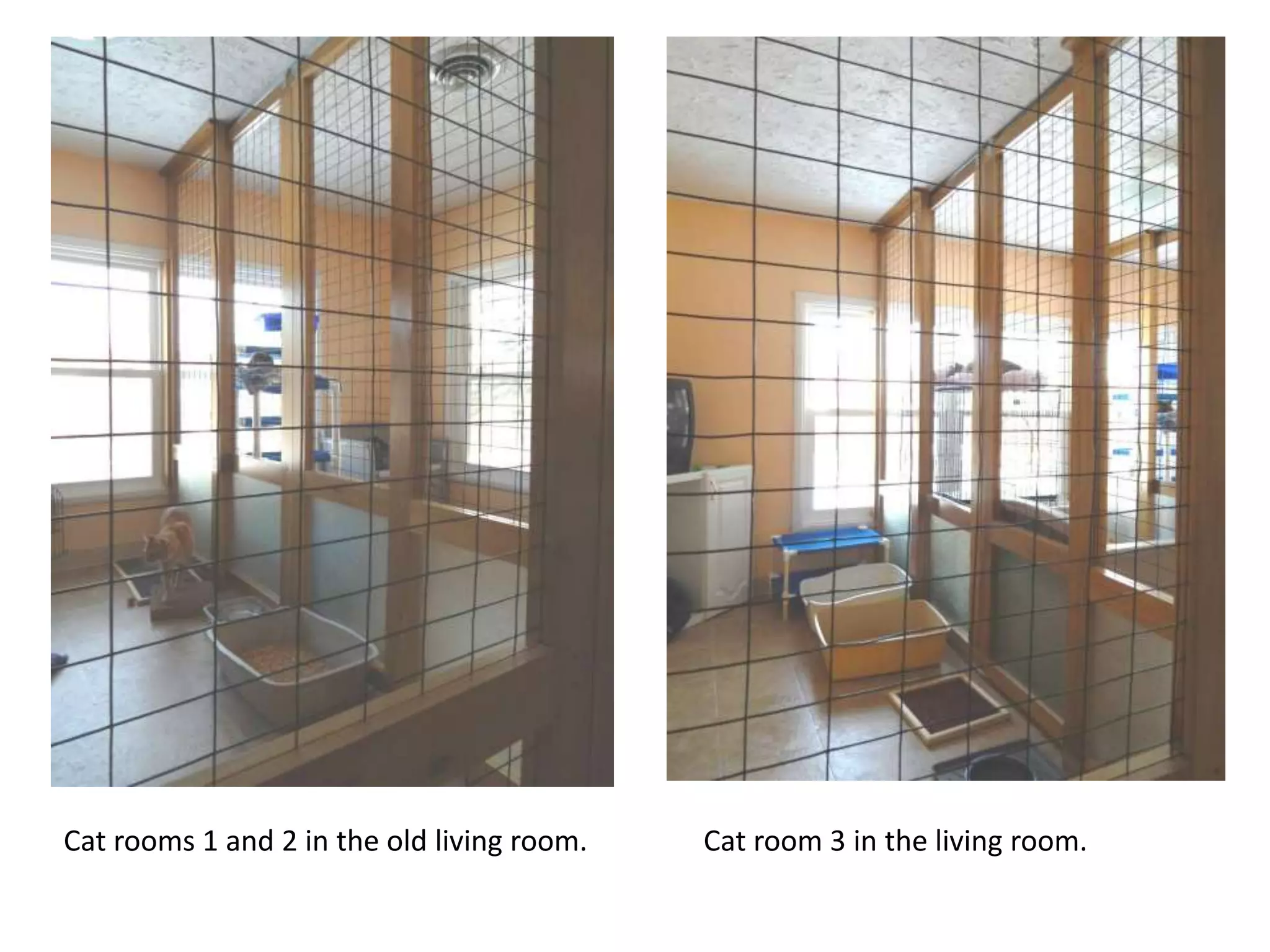 Cat rooms 1 and 2 in the old living room.

Cat room 3 in the living room.

 