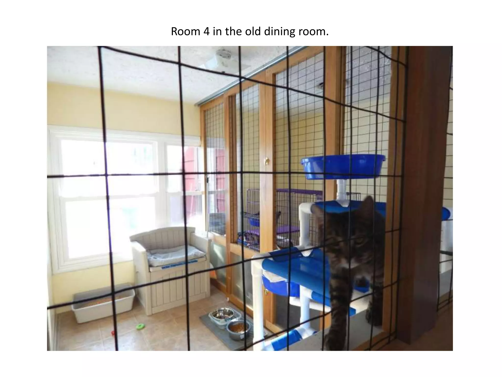 Room 4 in the old dining room.

 