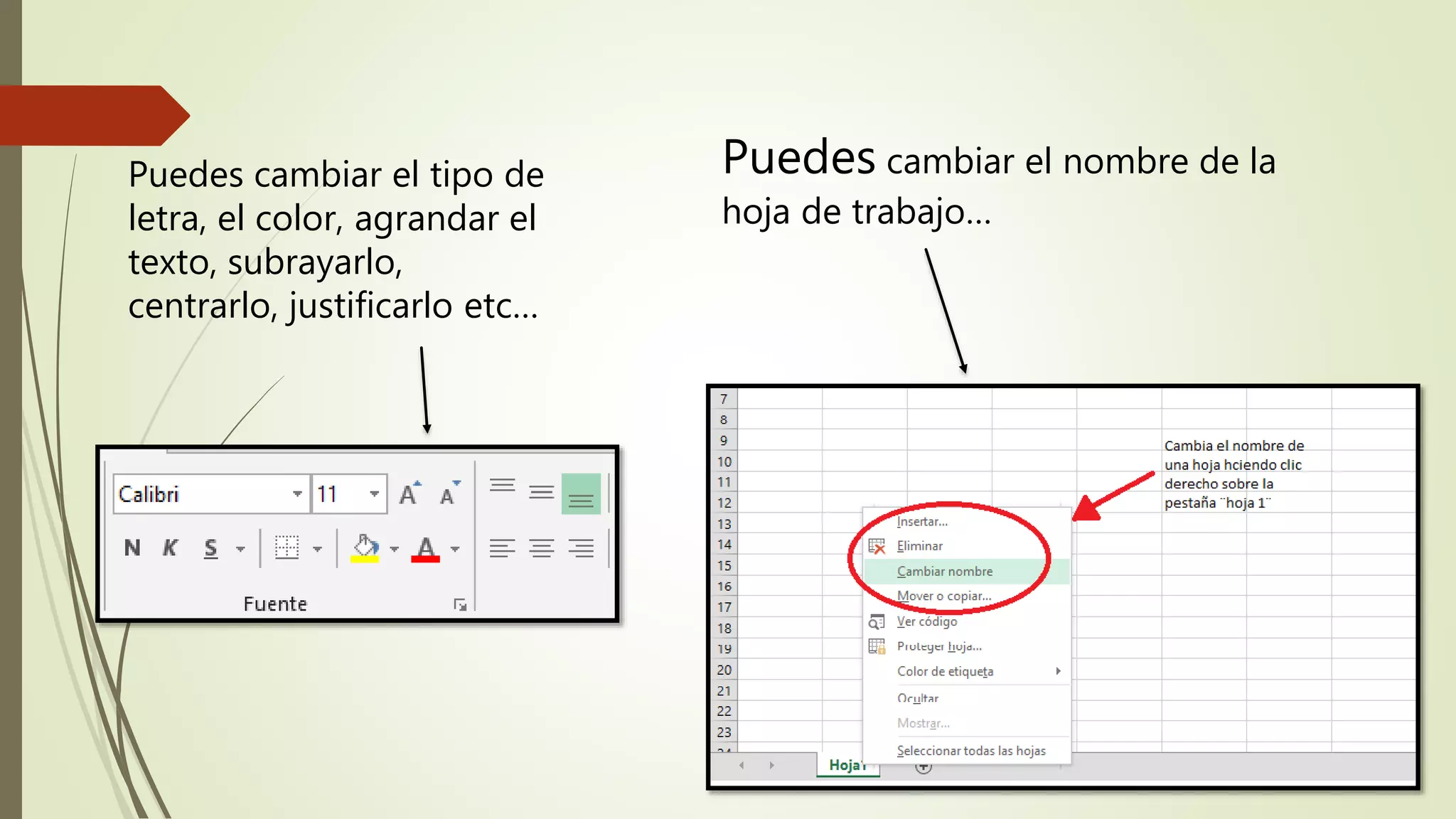 Puedes cambiar el nombre de la
hoja de trabajo…
Puedes cambiar el tipo de
letra, el color, agrandar el
texto, subrayarlo,
centrarlo, justificarlo etc…
 