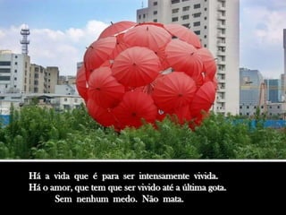 Há a vida que é para ser intensamente vivida.
Há o amor, que tem que ser vivido até a última gota.
      Sem nenhum medo. Não mata.
 